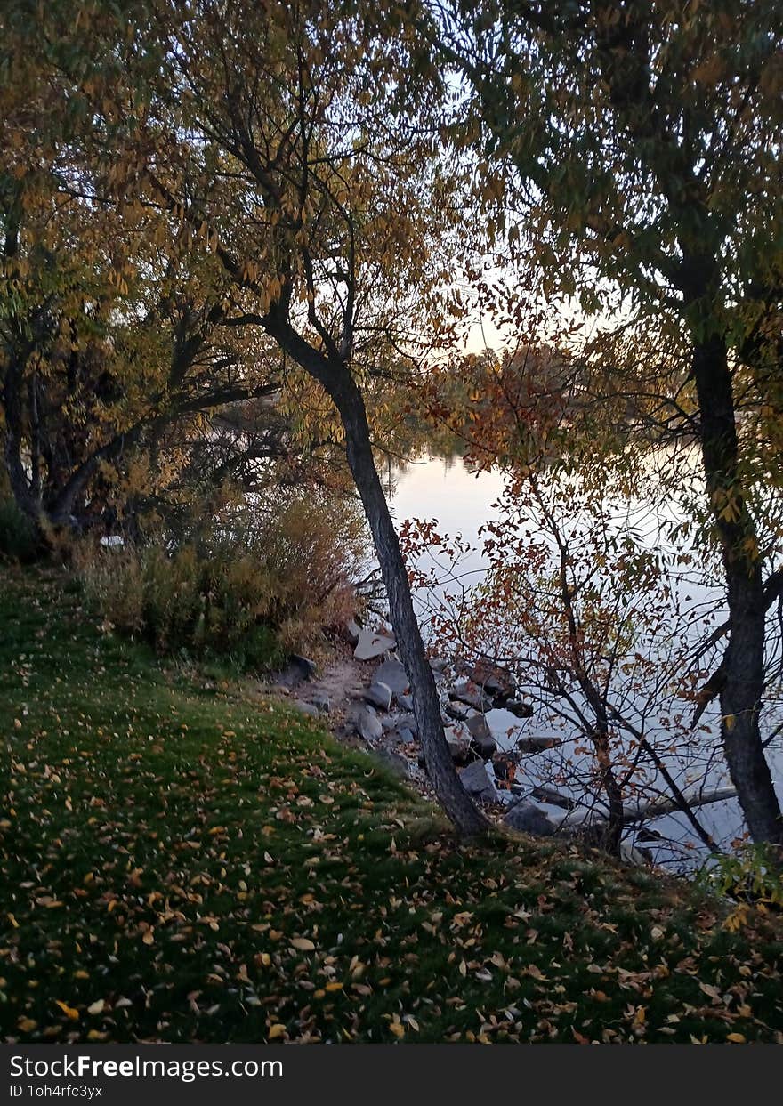 Abundant foliage with rustic colors of autumn at sunrise on Lions Park path, Sloan's lake, Cheyenne, Wyoming. Abundant foliage with rustic colors of autumn at sunrise on Lions Park path, Sloan's lake, Cheyenne, Wyoming.