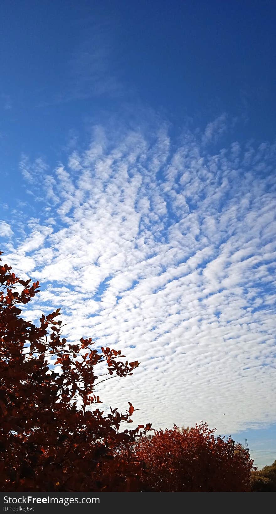 Clouds In The Blue Sky. Photo Taken By The Author In The City.