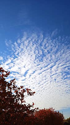 Clouds In The Blue Sky. Photo Taken By The Author In The City. Stock Photography