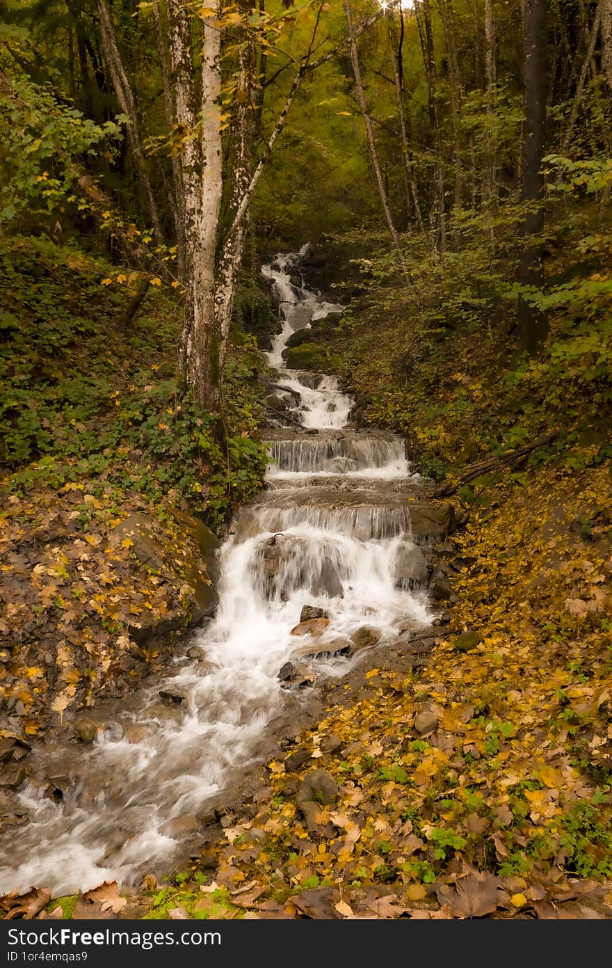 Waterfall In The Woods Formed By Rainwater