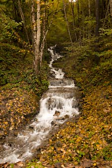 Waterfall In The Woods Formed By Rainwater Stock Photo