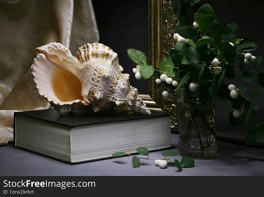 Still life with a sea shell, a bouquet of snowberries and a book