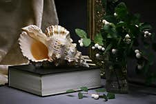 Still Life With A Sea Shell, A Bouquet Of Snowberries And A Book Stock Photography