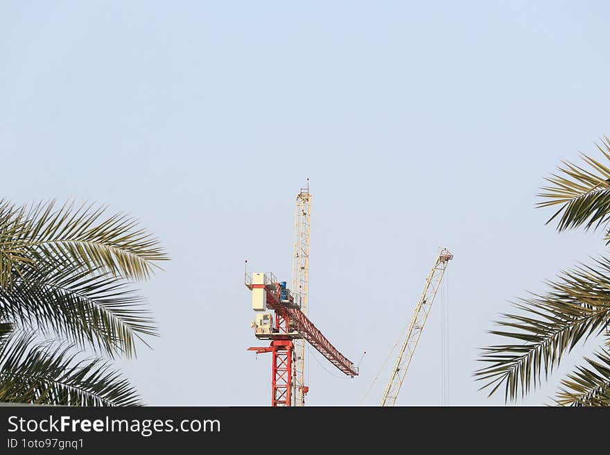 Red and white crane stands tall at a construction site, framed by palm tree leaves on either side. The clear blue sky serves as a picturesque backdrop