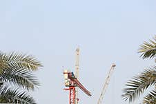 Red And White Crane Stands Tall At A Construction Site, Framed By Palm Tree Leaves On Either Side. The Clear Blue Sky Stock Photography