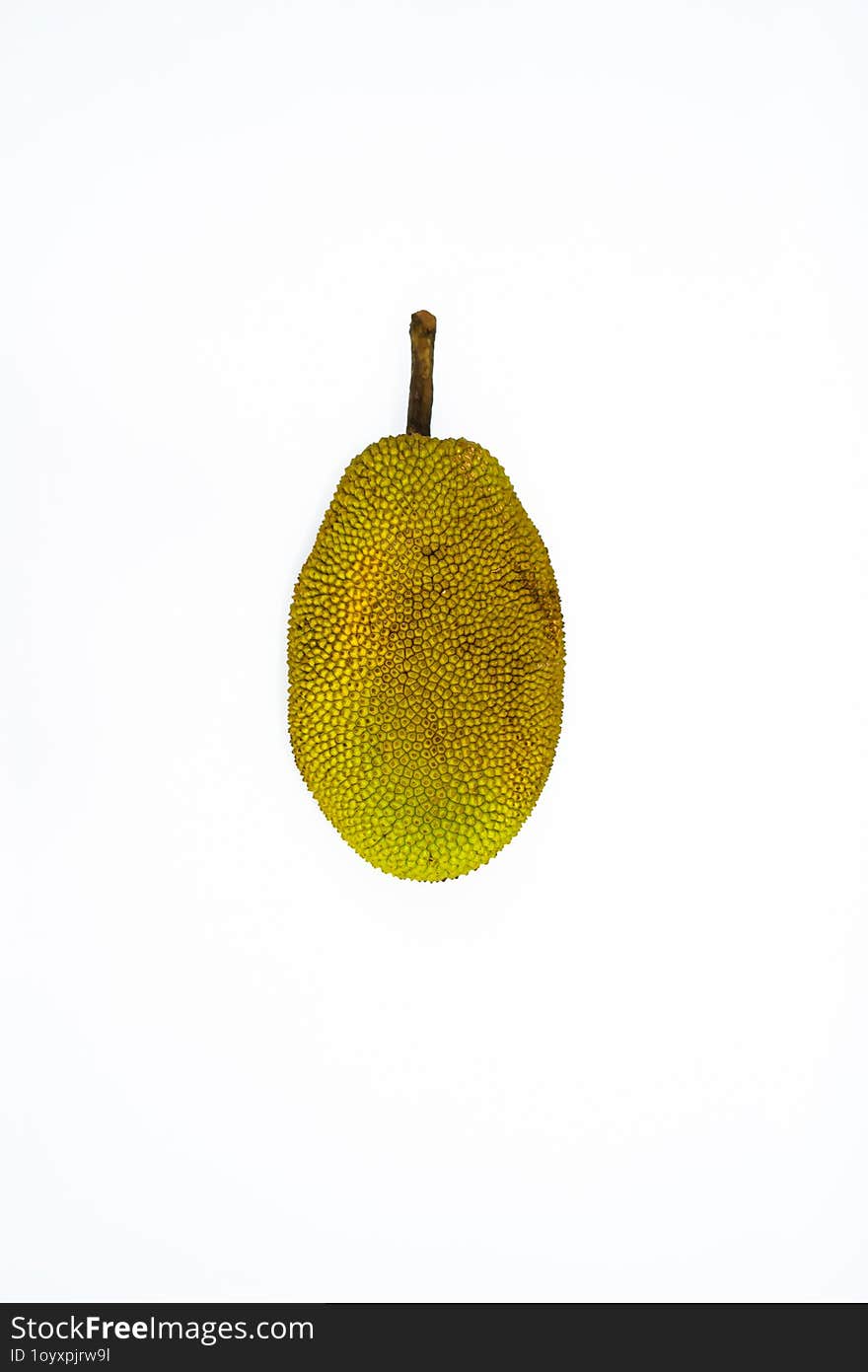 Selected focus photo of ripe jackfruit with stalk in front isolated on blurred white background