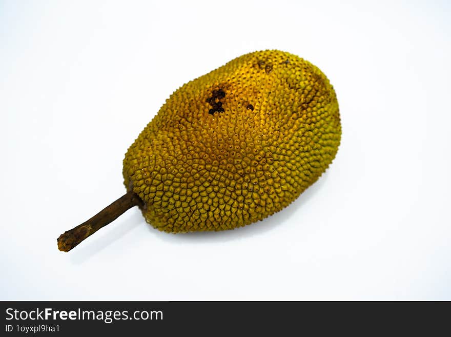 Selected focus photo of ripe jackfruit with stalk in front isolated on blurred white background