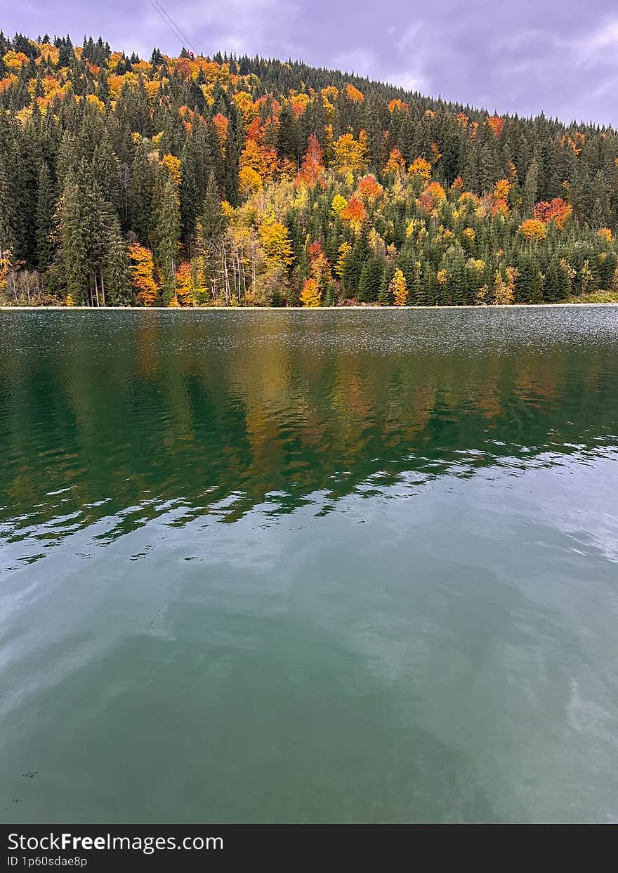 An autumn landscape featuring a serene lake embraced by a forest adorned in vibrant foliage. The trees, transitioning from green t