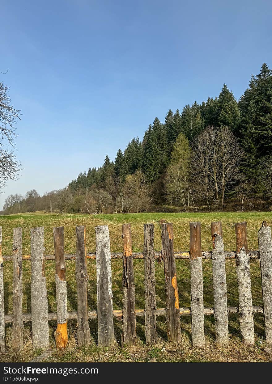 A rustic wooden fence separating a meadow from a forest. The fence is made of weathered wooden planks, some of which are missing o