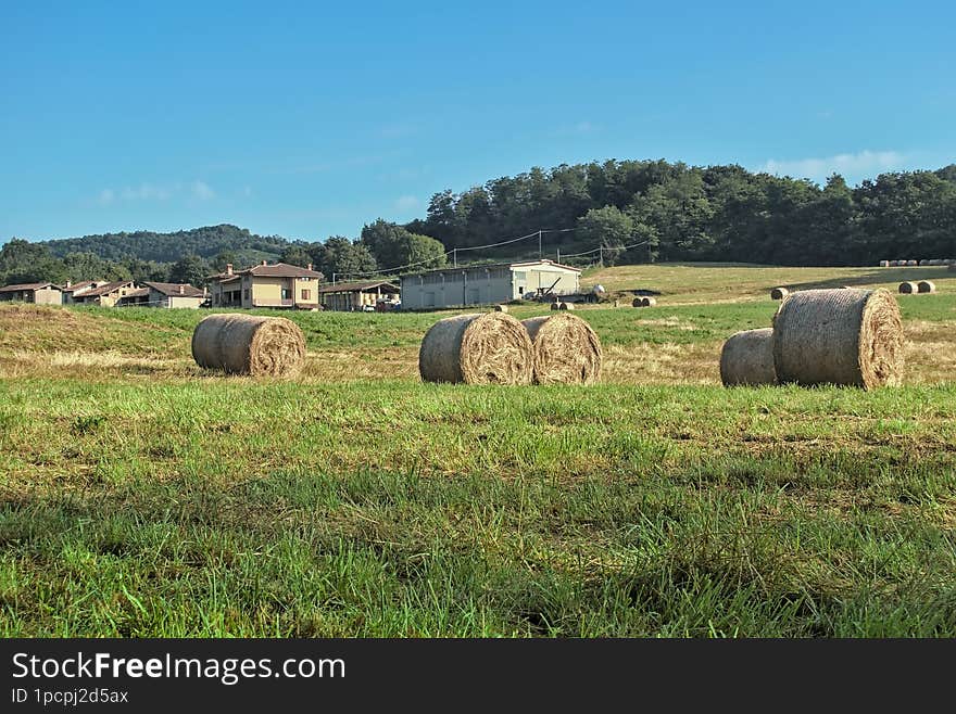 Rural Landscape with Hay Bales on a Sunny Day