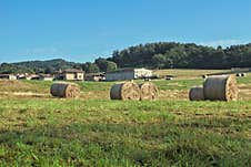 Rural Landscape With Hay Bales On A Sunny Day Royalty Free Stock Image