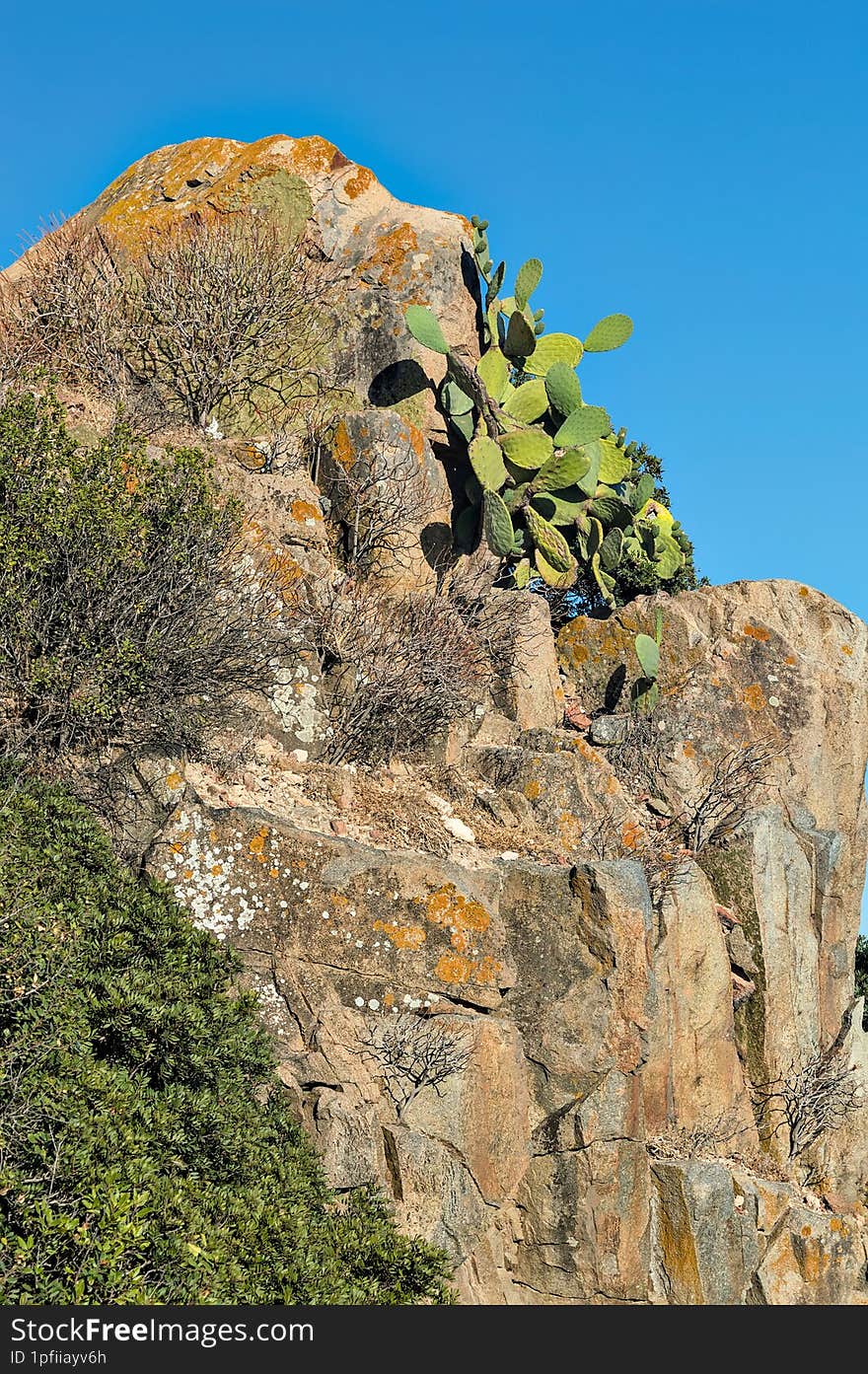 Stunning natural scene from Sardinia, Italy, featuring rugged rock formations adorned with orange lichens and lush prickly pear ca