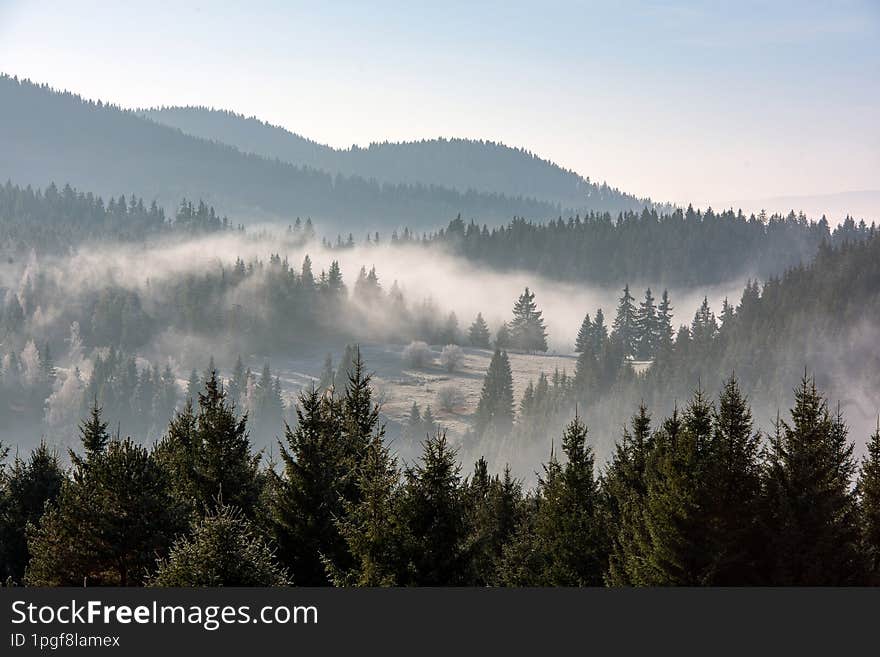 View from Mountains to the Valley Covered with Foggy and with trees in the foreground.