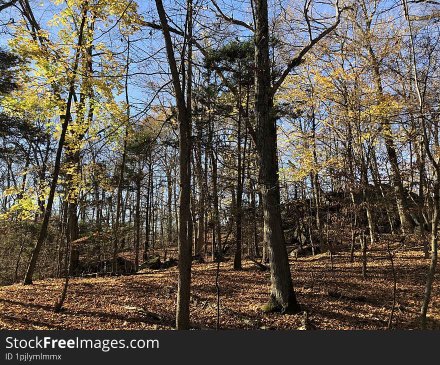 Blue Mountain Reservation in November in New York State.