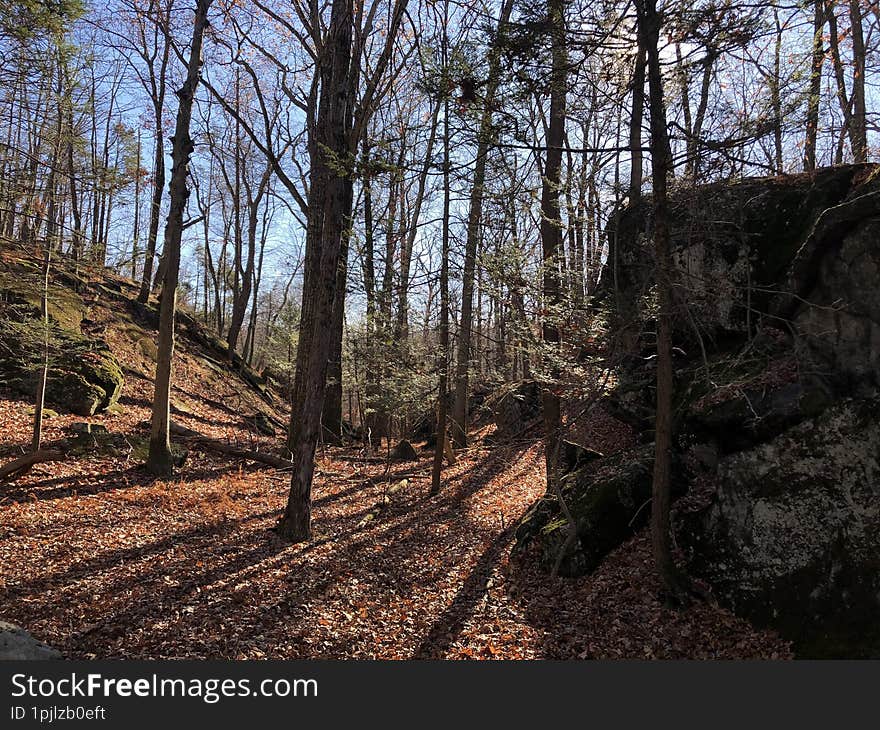 Blue Mountain Reservation in November in New York State.