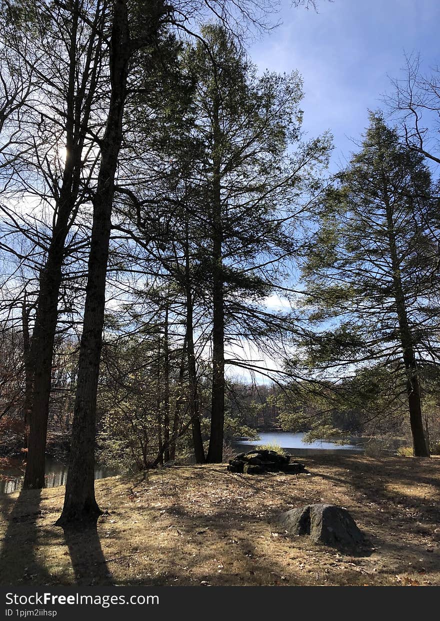 Blue Mountain Reservation in November in New York State.