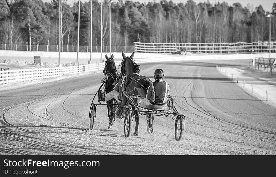 Equestrian sport. Harness racing. Horse race at hippodrome. Horses compete in harness racing. Black and white photo