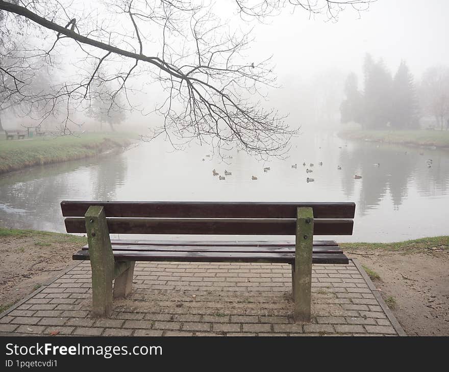 Bench by the pond and fog.