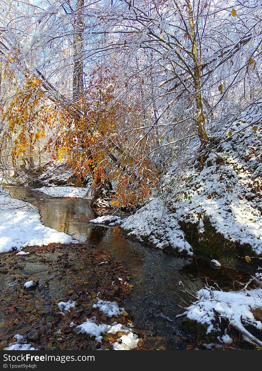 Winter landscape of the Krusevica river, Bosnia and Background nature. Mountain river. Winter morning in the forest. Winter idyll. Stream landscape. River landscape. Winter landscape of the Krusevica river, Bosnia and Background nature. Mountain river. Winter morning in the forest. Winter idyll. Stream landscape. River landscape.