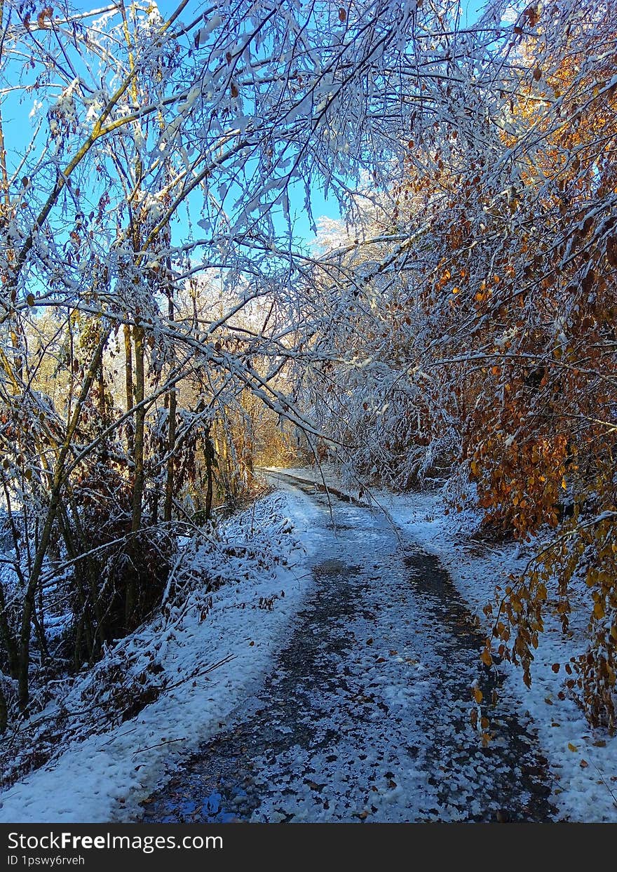 The road through the Borja mountain, Bosnia and Herzegovina.