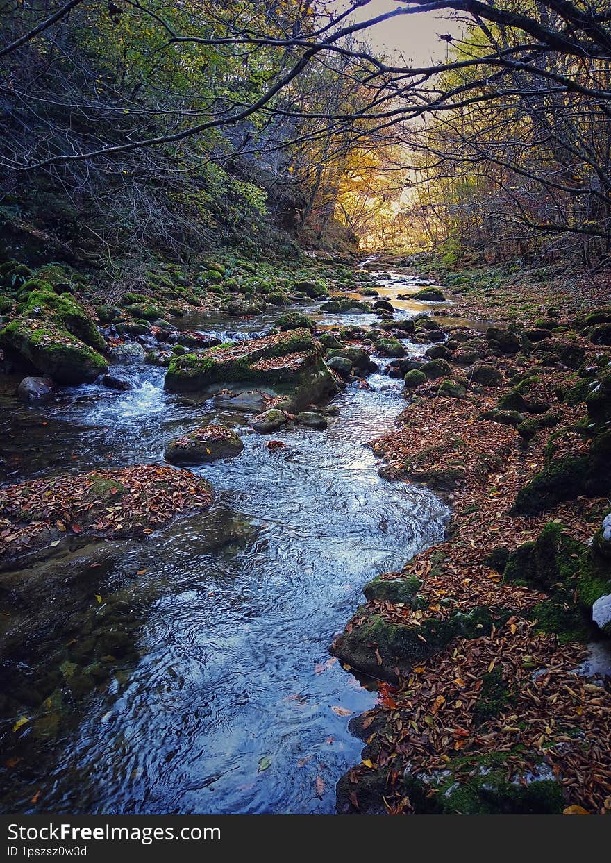 Landscape river. River Cvrcka, Bosnia and Herzegovina.