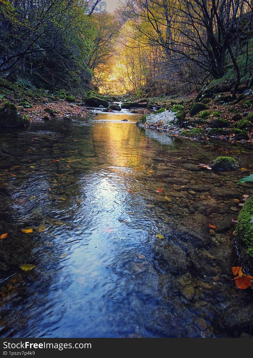 Landscape river. River Cvrcka, Bosnia and Herzegovina.