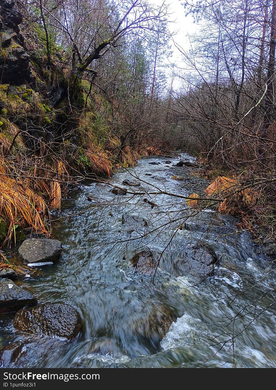 River landscape. Stream landscape. River Krusevica, Bosnia and Herzegovina.