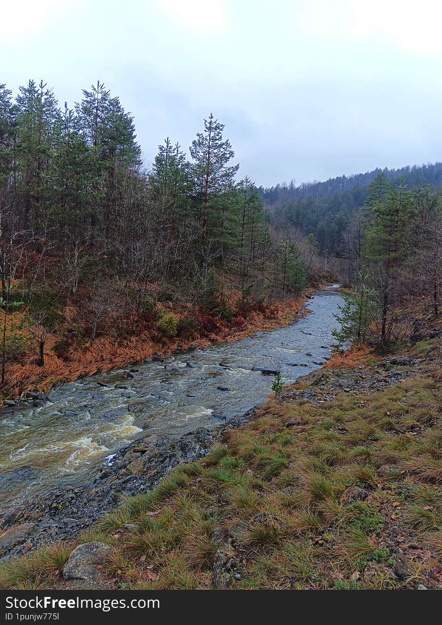 Landscape river. Landscape stream. River Ukrina, Bosnia and Herzegovina.