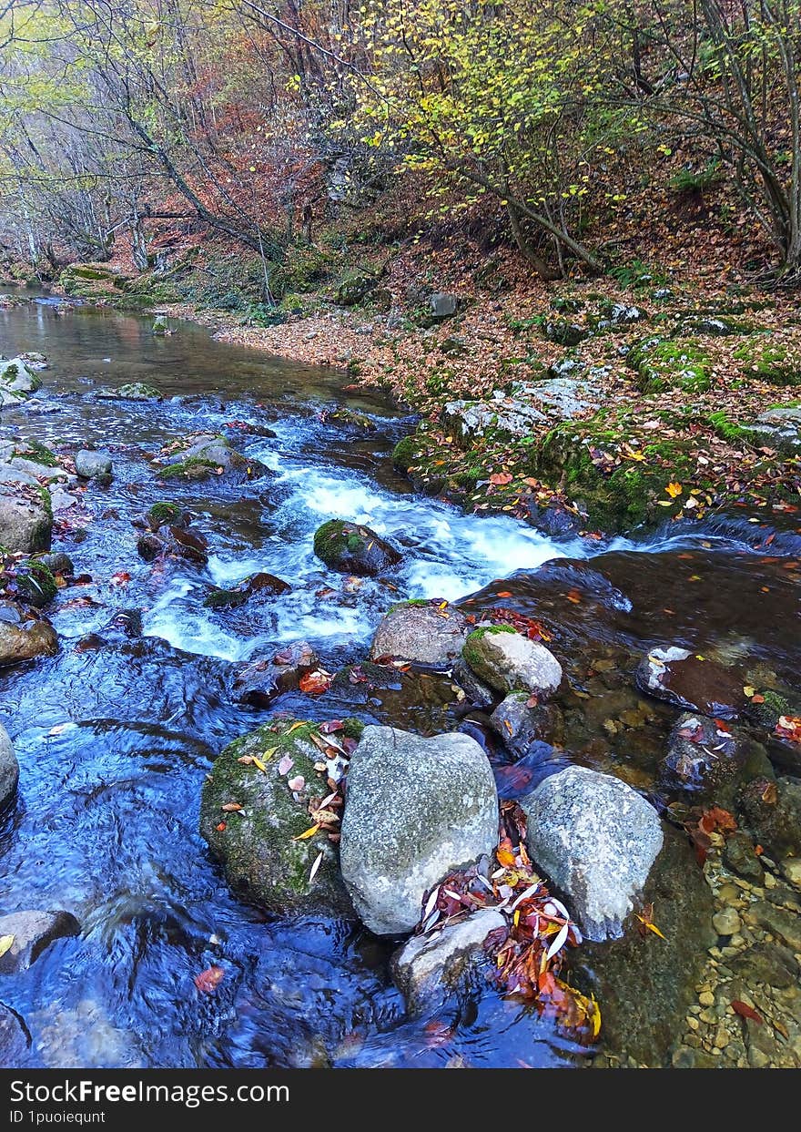 Autumn landscape river. Landscape river. Landscape stream. River Cvrcka.