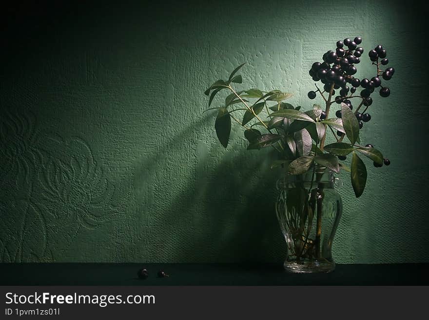 Transparent vase with green graceful sprouts and branches with black round berries on light green textured wall background. Web ba