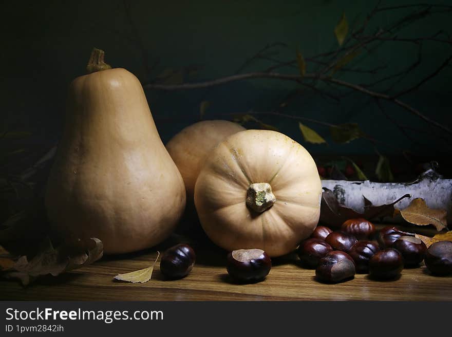 Two pumpkins lie among fallen leaves, chestnuts, and birch branches