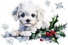 A Cute Maltipoo Dog In Clip Art Style, With A Christmas Plant, Generated With AI. Royalty Free Stock Image