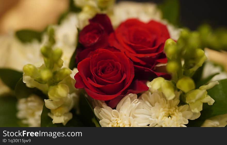 Close-Up of Red Roses and White Flowers in a Bouquet Arrangement