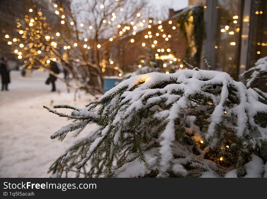 Spruce branches under snow and christmas decorations on the streets of Saint Petersburg