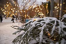 Spruce Branches Under Snow And Christmas Decorations On The Streets Of Saint Petersburg Royalty Free Stock Photography