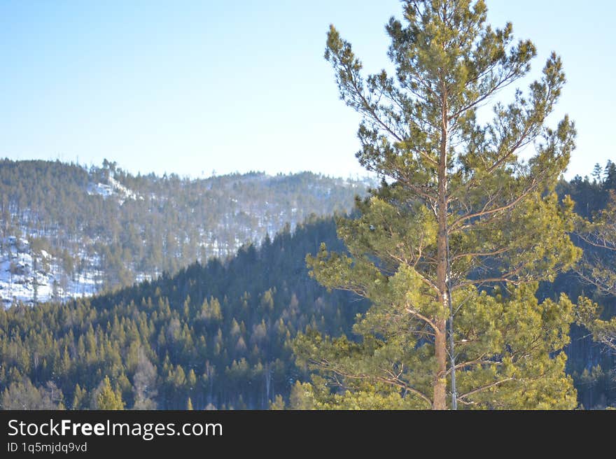 view from the hiking trail leading to the Vityaz rockery, Irkutsk region. view from the hiking trail leading to the Vityaz rockery, Irkutsk region