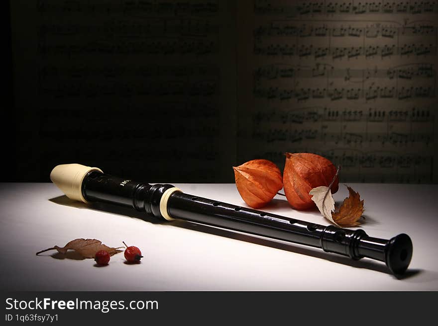 Plastic soprano flute on white table with music notes in background