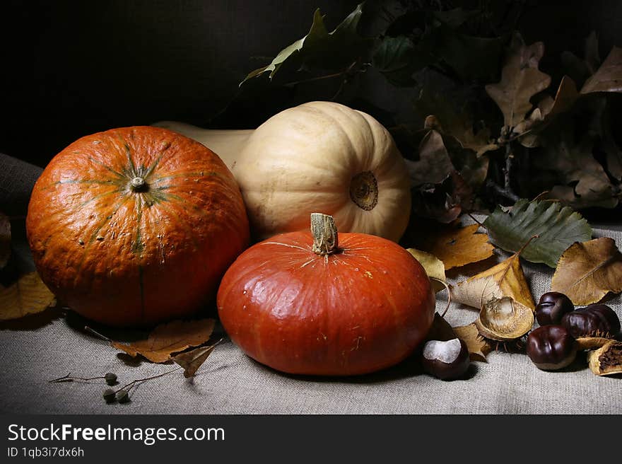 Still life with three pumpkins in the style of Dutch painting