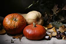 Still Life With Three Pumpkins In The Style Of Dutch Painting Royalty Free Stock Photo