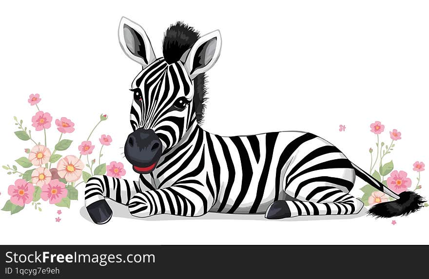 A lovely artwork of a happy zebra resting with flowers in the background, set against a pure white backdrop