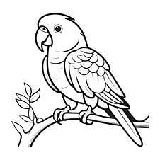 Coloring Page Of Parrot Sitting On Tree Branch Royalty Free Stock Photos