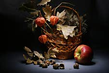 Still Life With A Wicker Basket Filled With Autumn Oak Branches With Dry Leaves And An Apple Stock Photo