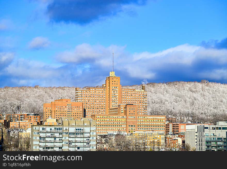 Urban Rhythms: Capturing Life in Montreal s Streets