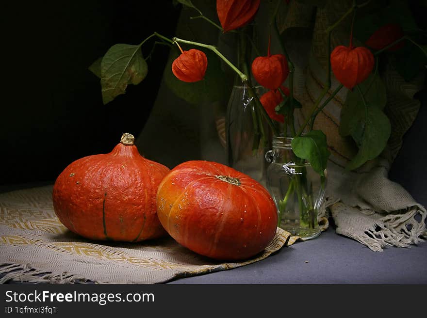 Still life with pumpkins and physalis