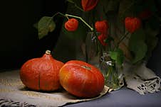 Still Life With Pumpkins And Physalis Royalty Free Stock Image