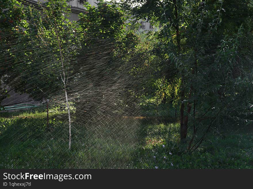 Beautiful watering of a cozy garden among residential buildings: a cloud of drops illuminated by the sun. Sprinkler waters in garden, with sunlight filtering through droplets, creating a serene atmosphere. Buildings in the background highlight the blend of nature and urban life.