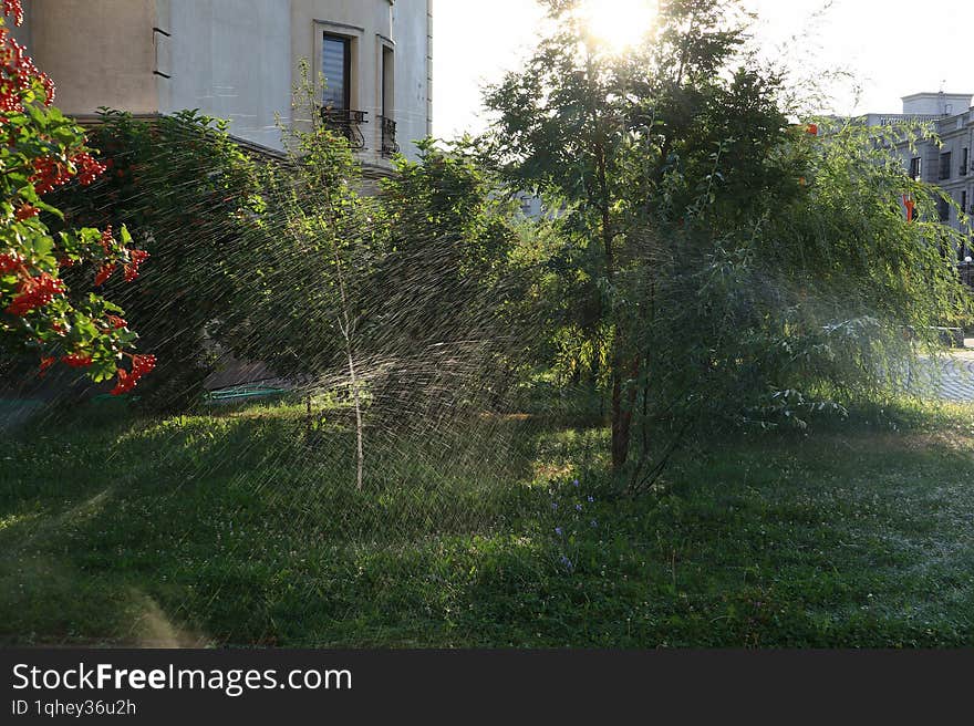 Beautiful watering of a cozy garden among residential buildings: a cloud of drops illuminated by the sun