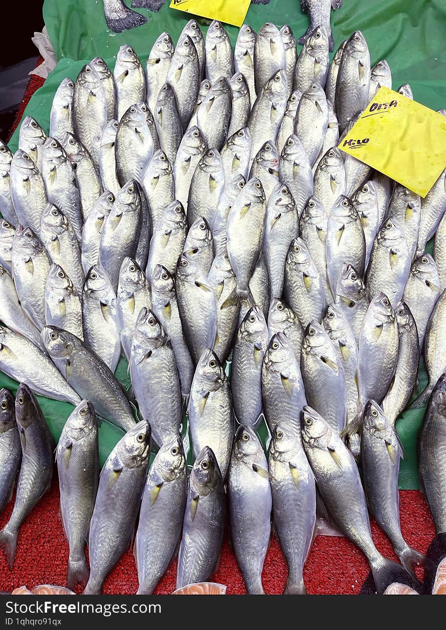 Bluefish fresh on the market stall.