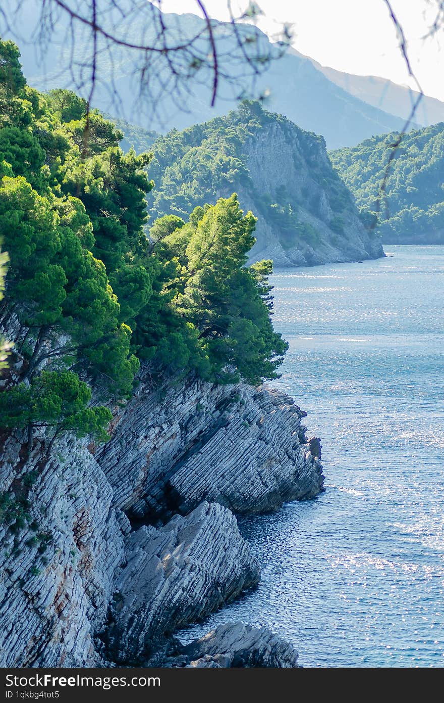 Sunlit cliffs, covered with branches of evergreen trees, in Petrovac na Moru, Montenegro