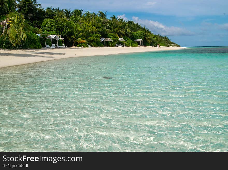 A stunning tropical beach in the Maldives with white sand, crystal-clear turquoise waters, and gently swaying palm trees under a b